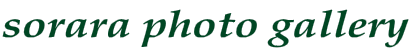sorara photo gallery
