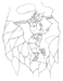 2003/06/19 rbN}2000萯Vg^P