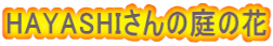 HAYASHIさんの庭の花