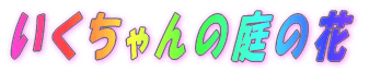 ̒ 