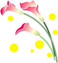 �\�V�A���c�`�m�b�d �o�`�q�s�x