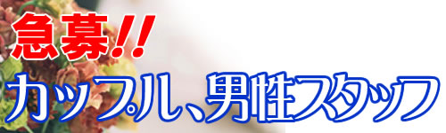 �J�b�v���A�j���X�^�b�t�}��