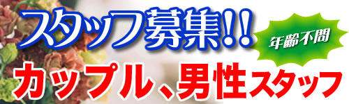 年齢不問、カップル、男性スタッフ急募